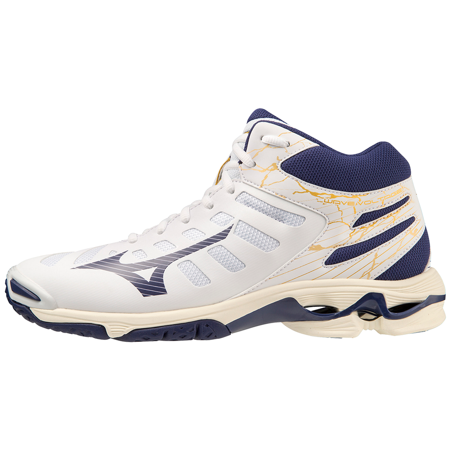 Mizuno voltage outlet